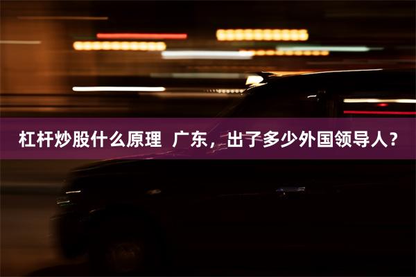 杠杆炒股什么原理  广东，出了多少外国领导人？