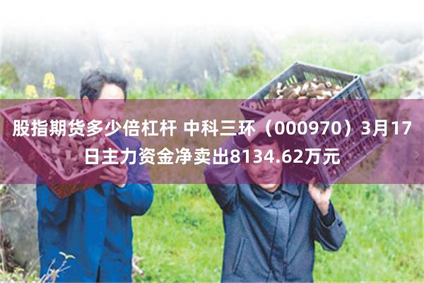 股指期货多少倍杠杆 中科三环（000970）3月17日主力资金净卖出8134.62万元