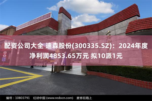 配资公司大全 迪森股份(300335.SZ)：2024年度净利润4853.65万元 拟10派1元