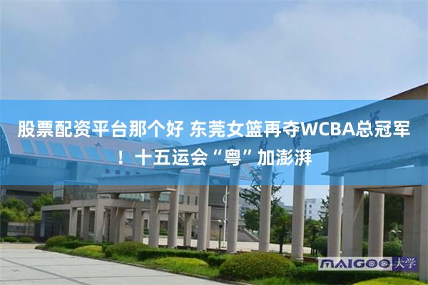 股票配资平台那个好 东莞女篮再夺WCBA总冠军！十五运会“粤”加澎湃