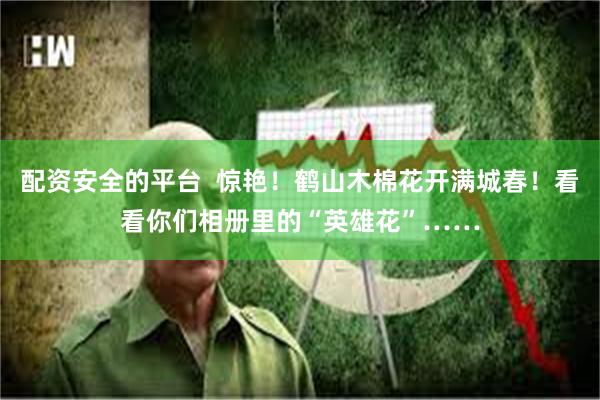 配资安全的平台  惊艳！鹤山木棉花开满城春！看看你们相册里的“英雄花”……
