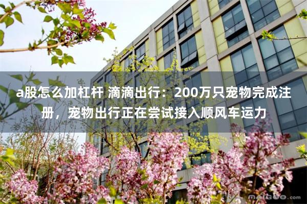 a股怎么加杠杆 滴滴出行：200万只宠物完成注册，宠物出行正在尝试接入顺风车运力