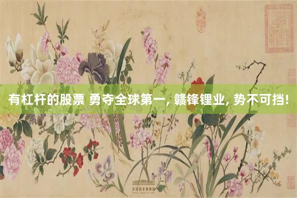 有杠杆的股票 勇夺全球第一, 赣锋锂业, 势不可挡!