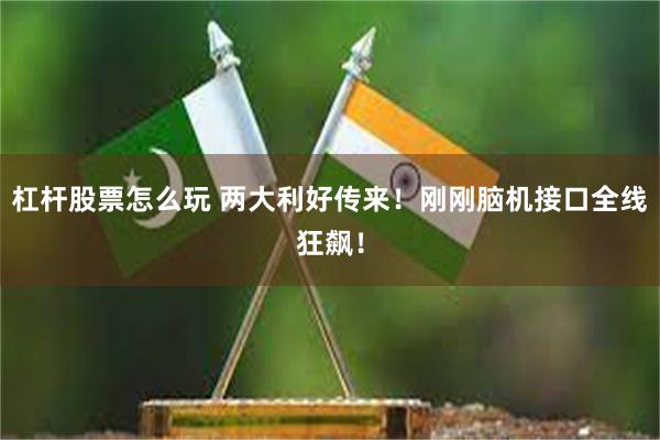 杠杆股票怎么玩 两大利好传来！刚刚脑机接口全线狂飙！