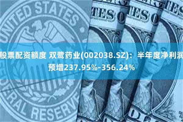 股票配资额度 双鹭药业(002038.SZ)：半年度净利润预增237.95%-356.24%