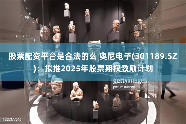 股票配资平台是合法的么 奥尼电子(301189.SZ)：拟推2025年股票期权激励计划