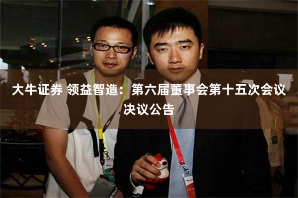 大牛证券 领益智造：第六届董事会第十五次会议决议公告