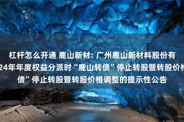 杠杆怎么开通 鹿山新材: 广州鹿山新材料股份有限公司关于实施2024年年度权益分派时“鹿山转债”停止转股暨转股价格调整的提示性公告