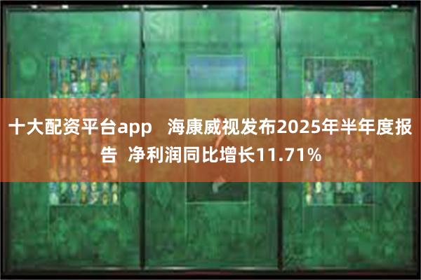 十大配资平台app   海康威视发布2025年半年度报告  净利润同比增长11.71%