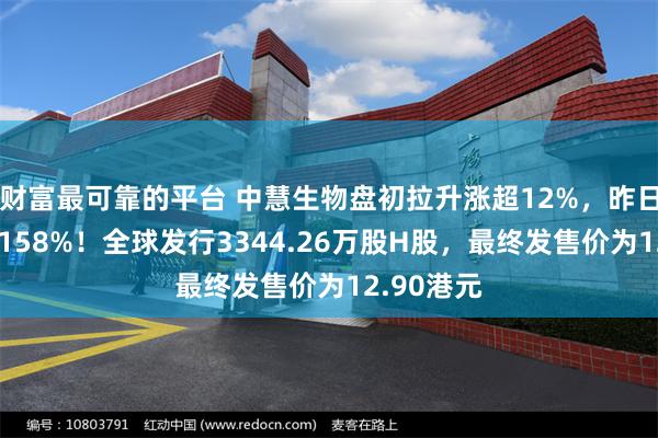 财富最可靠的平台 中慧生物盘初拉升涨超12%，昨日上市飙升158%！全球发行3344.26万股H股，最终发售价为12.90港元