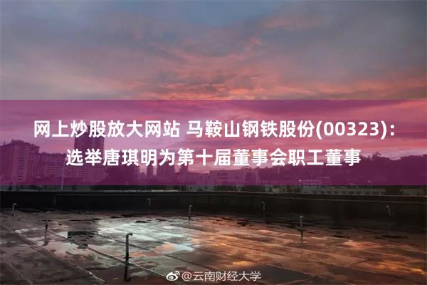 网上炒股放大网站 马鞍山钢铁股份(00323):选举唐琪明为第十届董事会职工董事